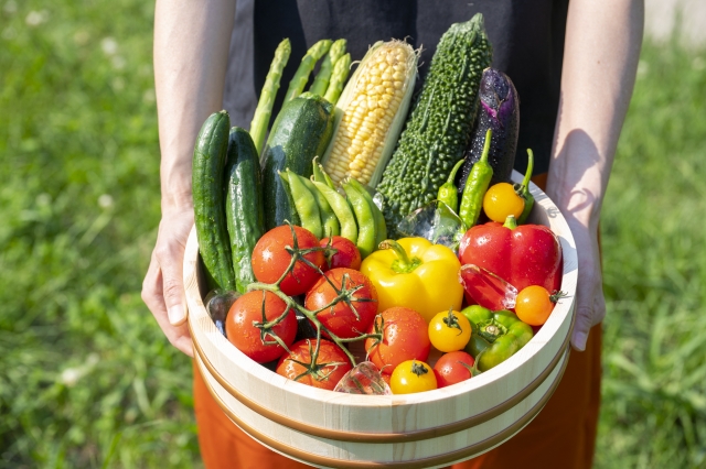 体を冷やす夏野菜