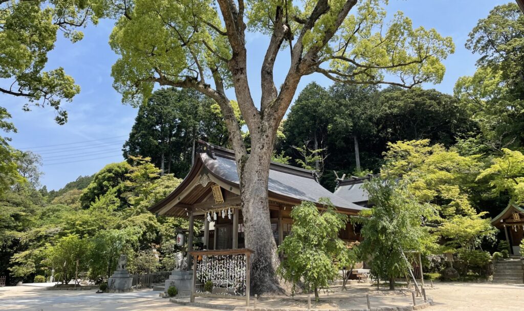 宝満竈門神社のご本殿