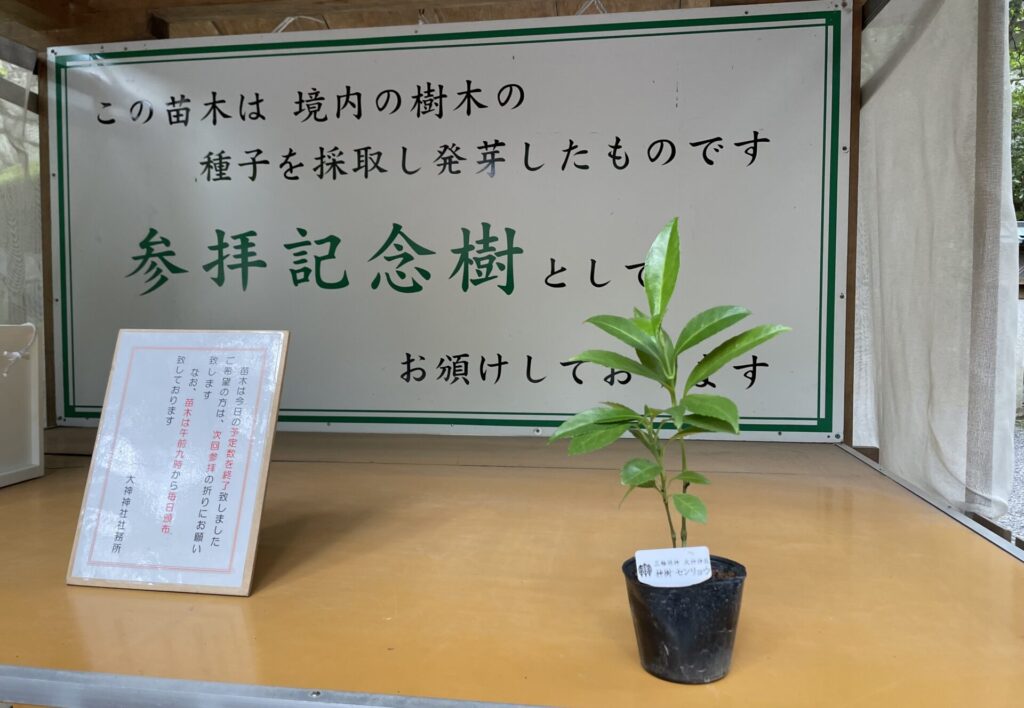 大神神社の参拝記念樹