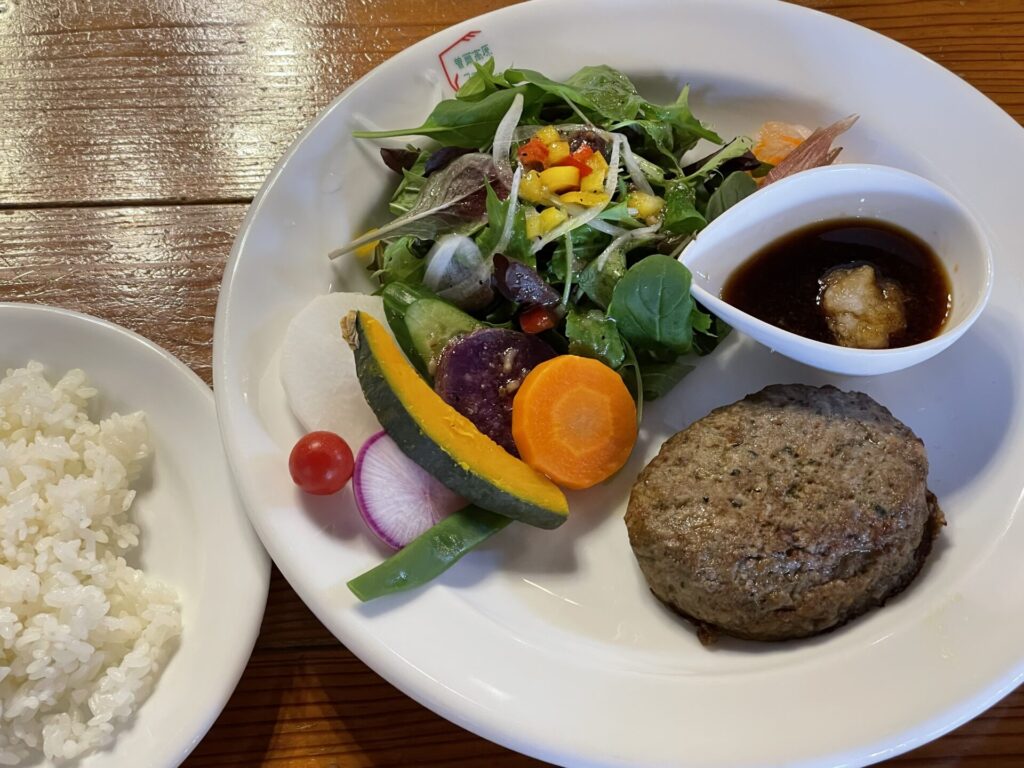 ほうれん草ハンバーグセット